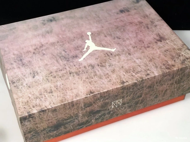 Reps TBK AV6683-200 Jordan JTH Bio Air 3 Beige 0809